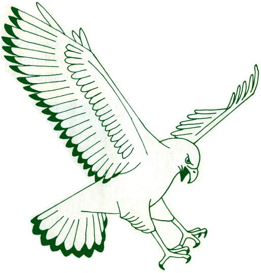 NC-Wilmington Seahawks 1977-1985 Primary Logo diy iron on heat transfer